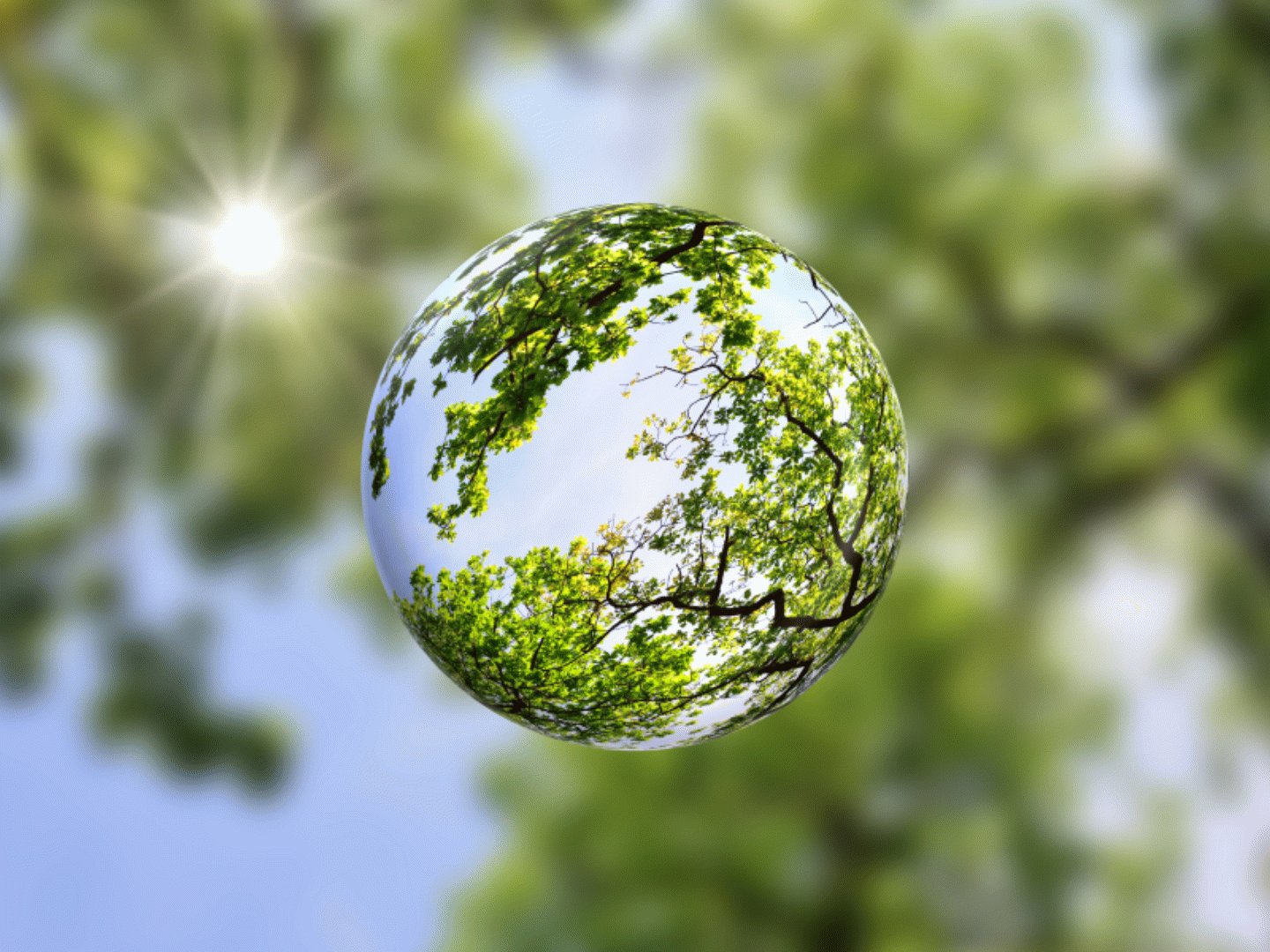 Sustainability & ESG Advisory